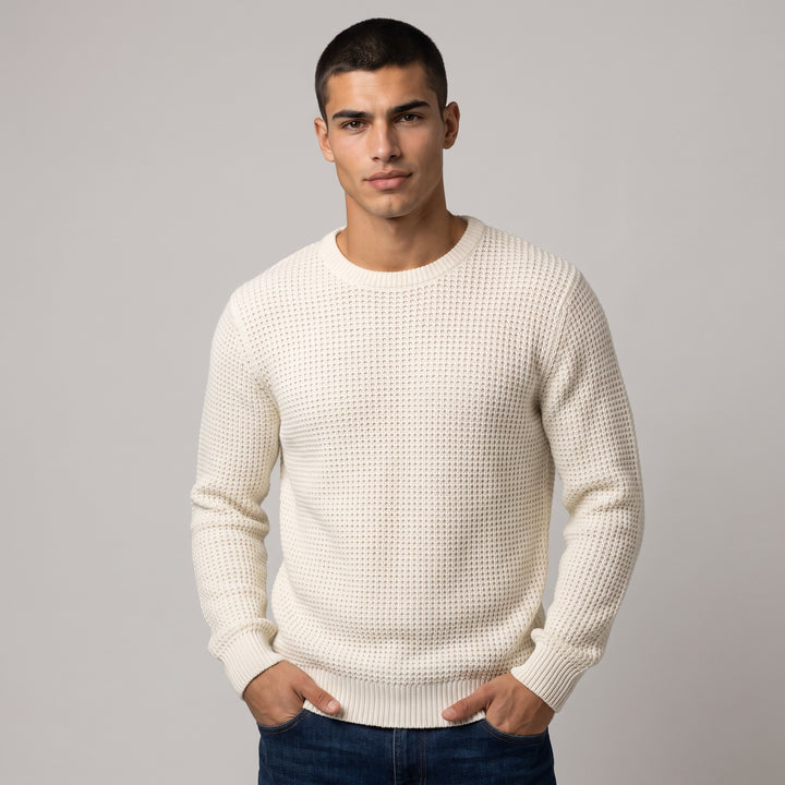 Dama Washington Duncan men's textured knit crew neck sweater - model front view